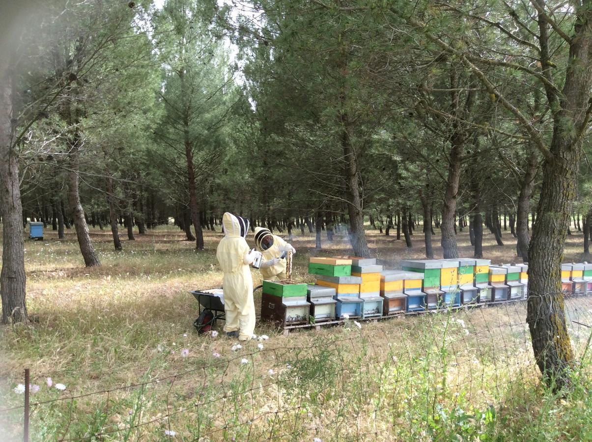 Agriturismo Gennemara B&B Perdaxius 외부 사진