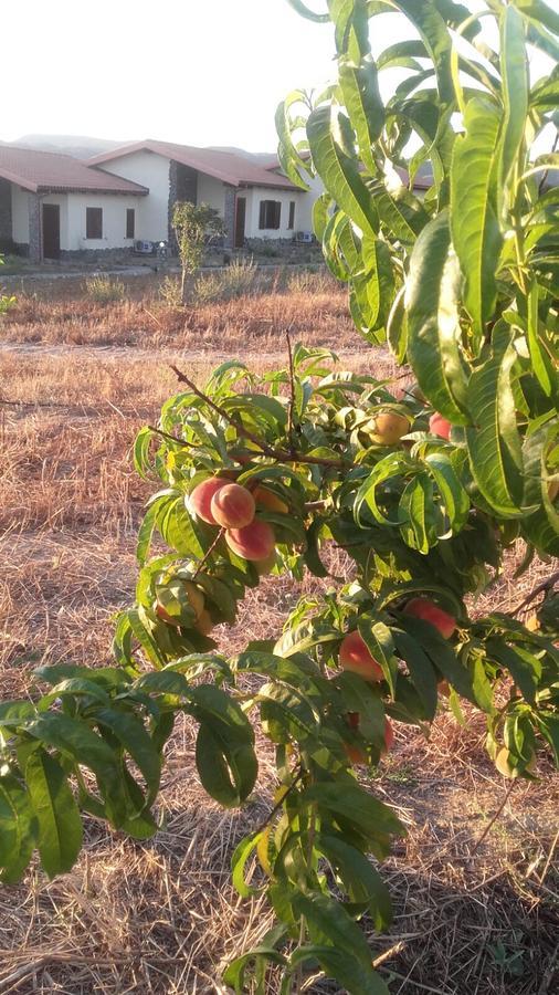 Agriturismo Gennemara B&B Perdaxius 외부 사진